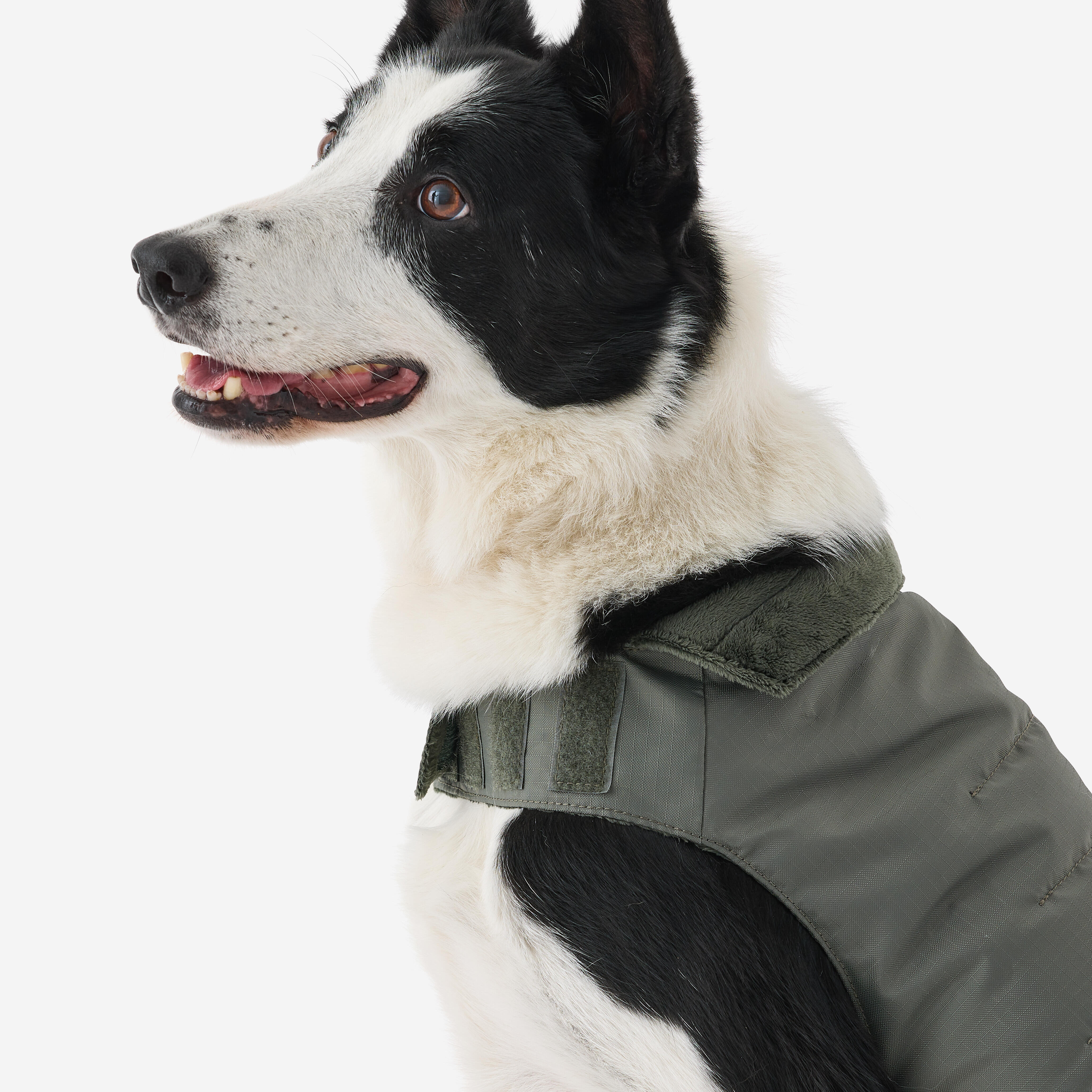 Warm Sporting Dog Vest  - SOLOGNAC