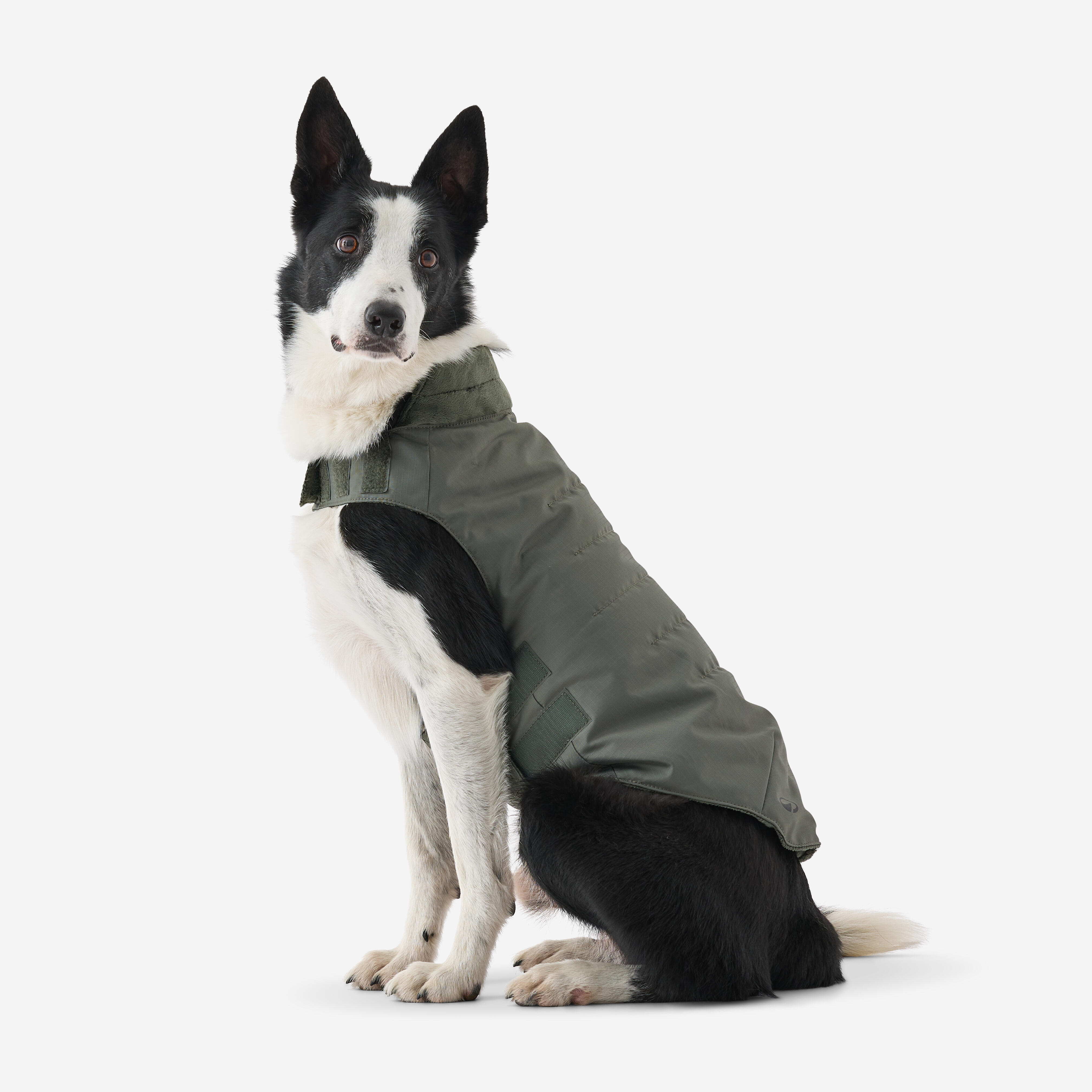 Warm Sporting Dog Vest  - SOLOGNAC