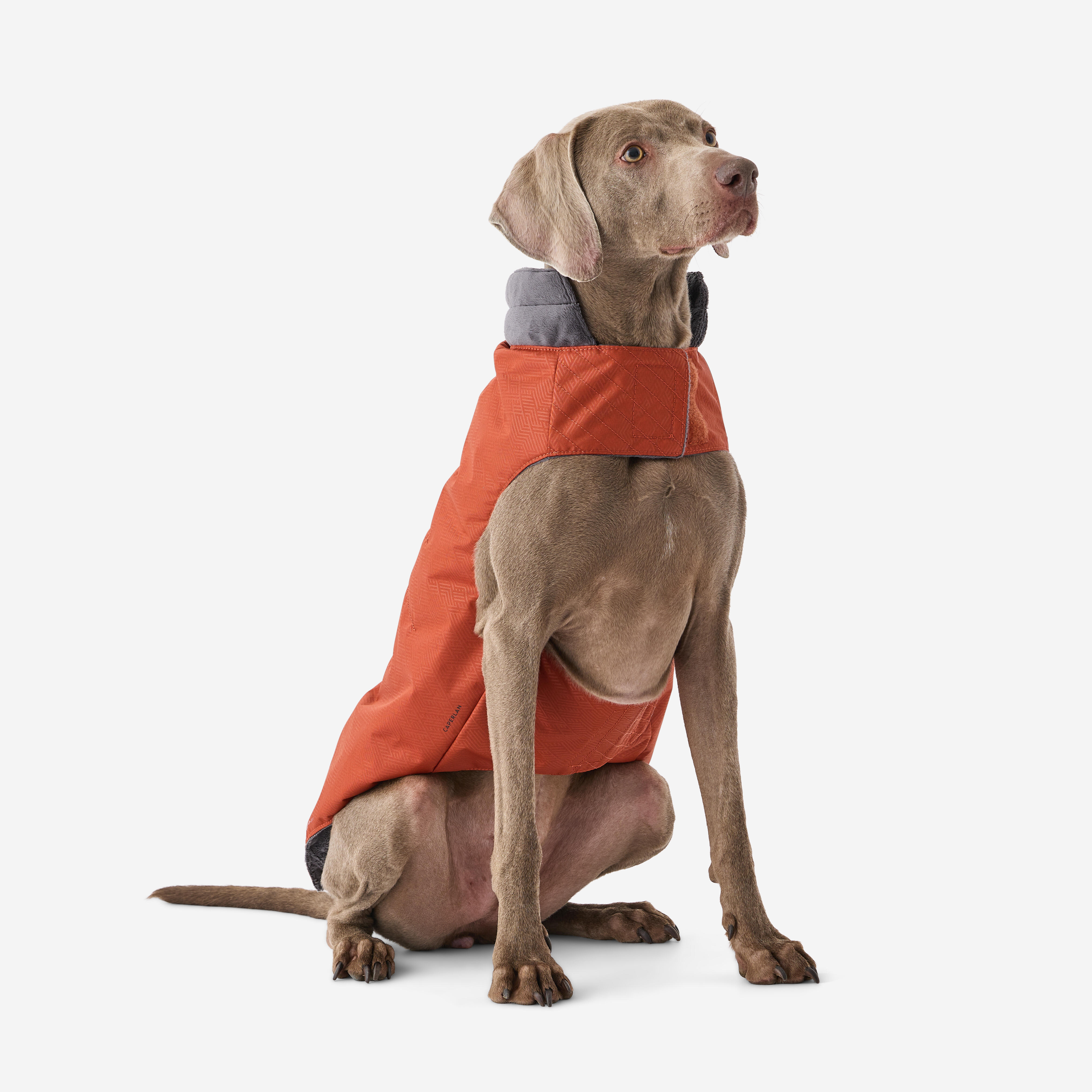 Gilet chaud pour chien Terracotta SOLOGNAC