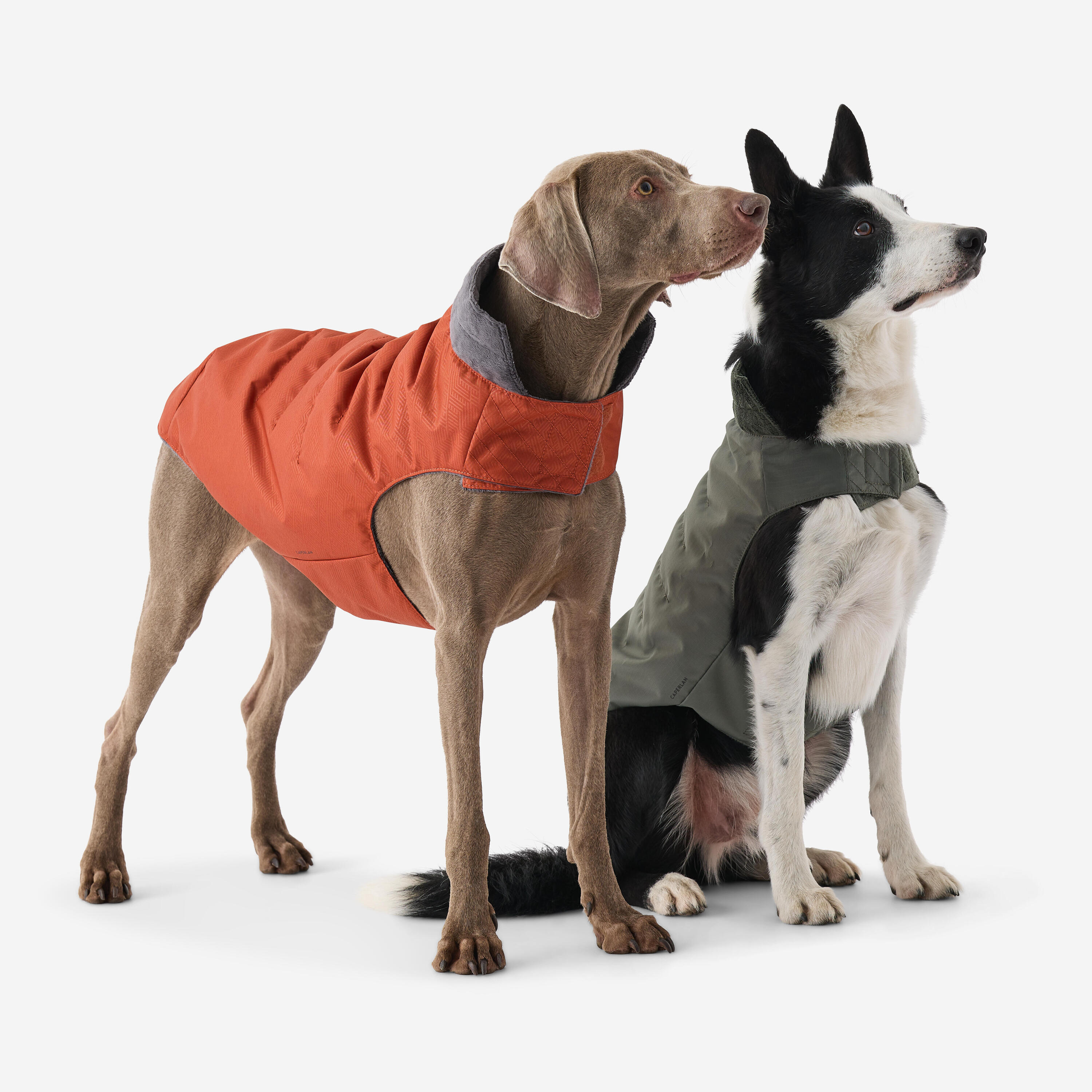 Veste chaude pour chien 7/8