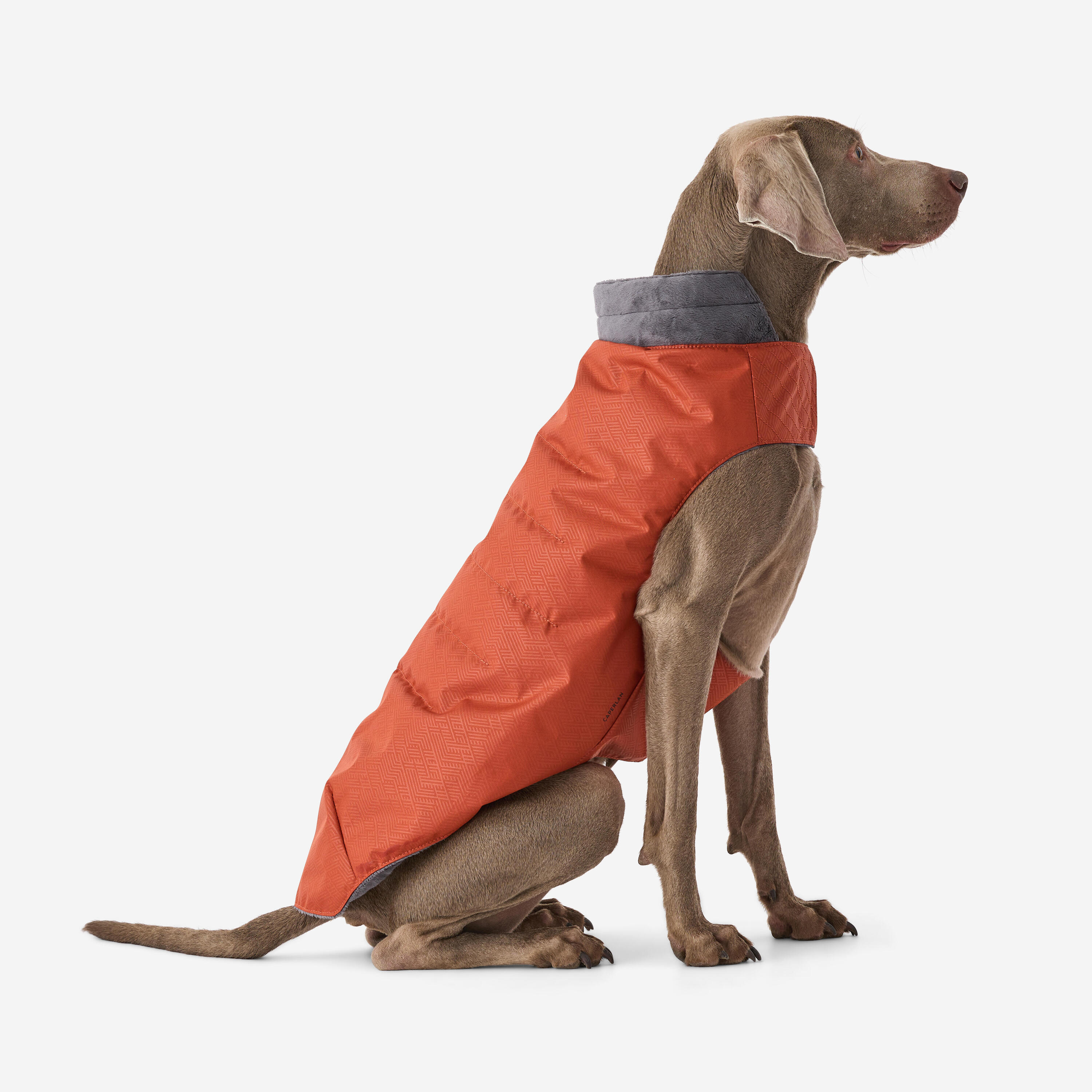 IREENUO waterdichte hondenjas, warme hondenregenjas voor grote honden met veilige reflecterende strips & Kraag harnasgat (Zwart, L