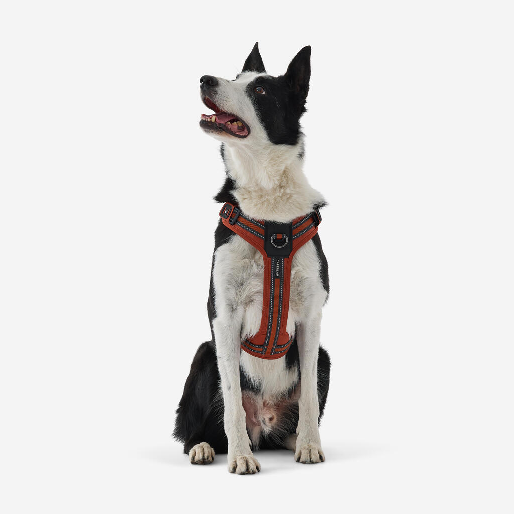 Hundegeschirr 500 Outdoor Terrakotta 