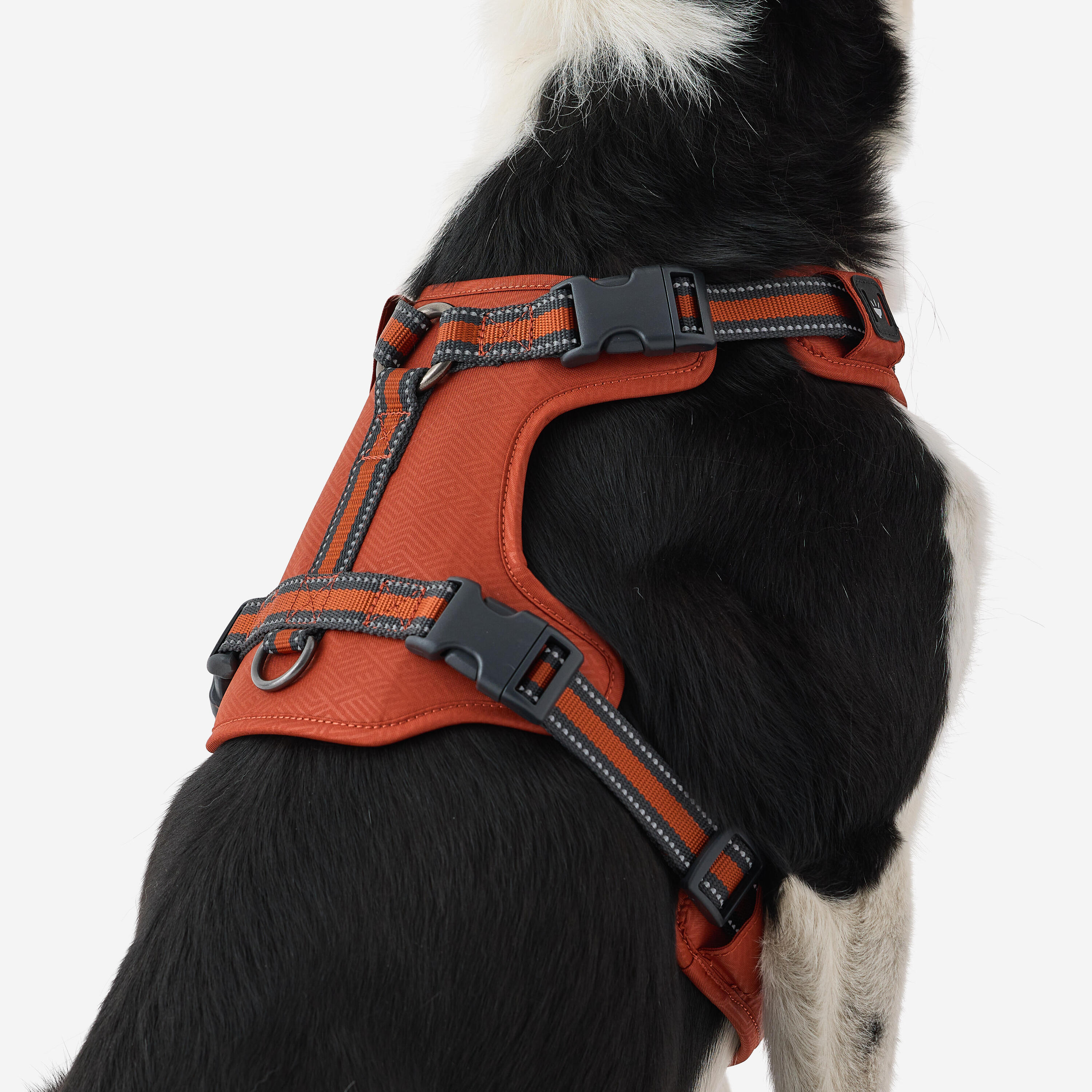Imbracatura cane OUTDOOR 500 rosso 7/11