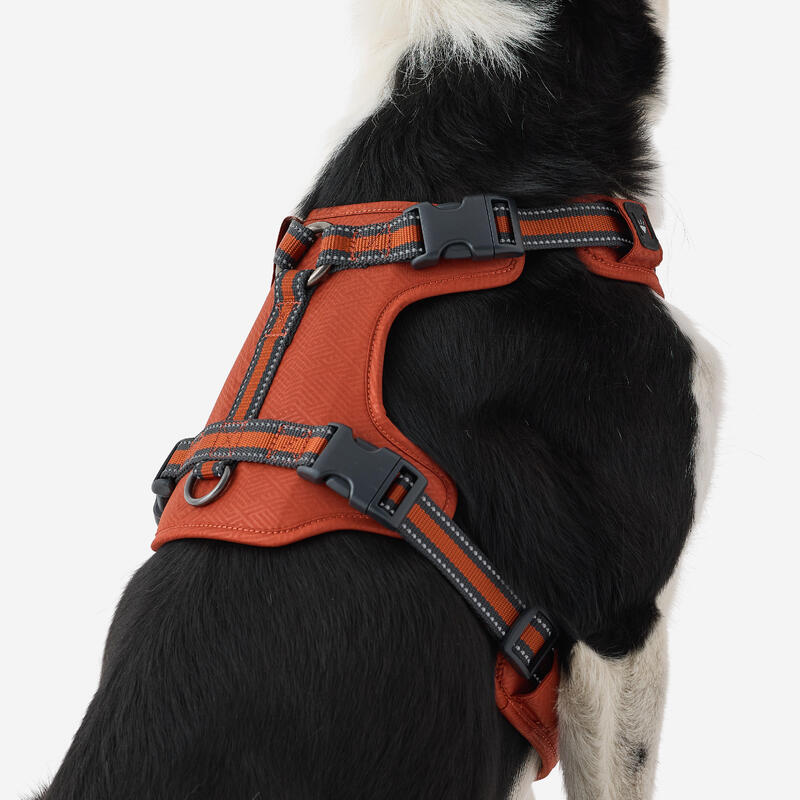 Hundegeschirr 500 Terracotta