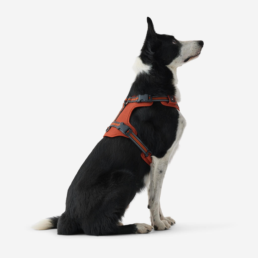 Hundegeschirr 500 Outdoor Terrakotta 