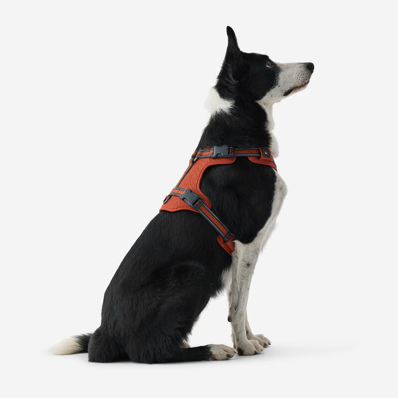 Hundegeschirr 500 Terracotta