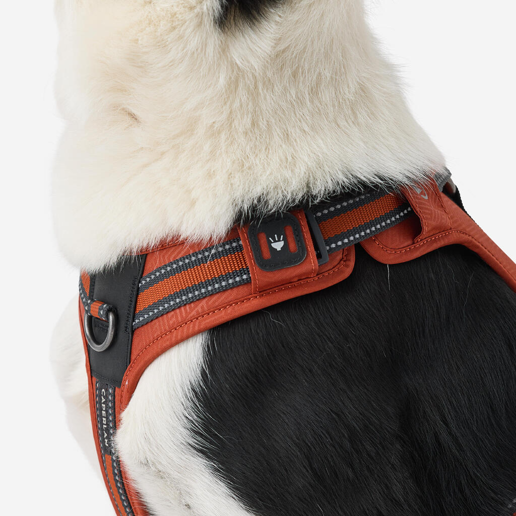 Hundegeschirr 500 Outdoor Terrakotta 