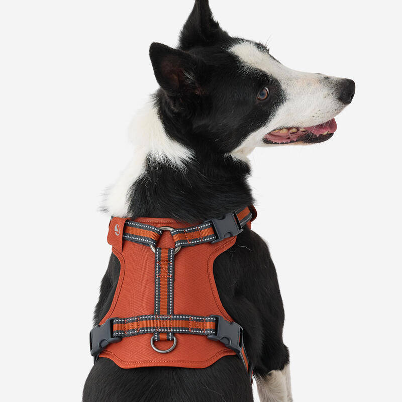 Hundegeschirr 500 Terracotta