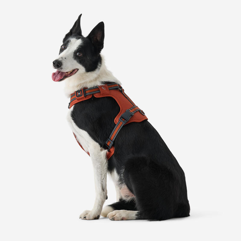 Hundegeschirr 500 Terracotta