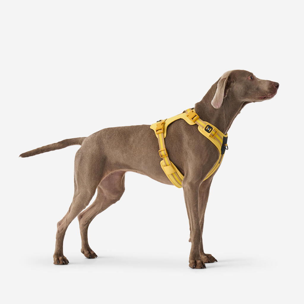 Hundegeschirr 500 Outdoor Terrakotta 