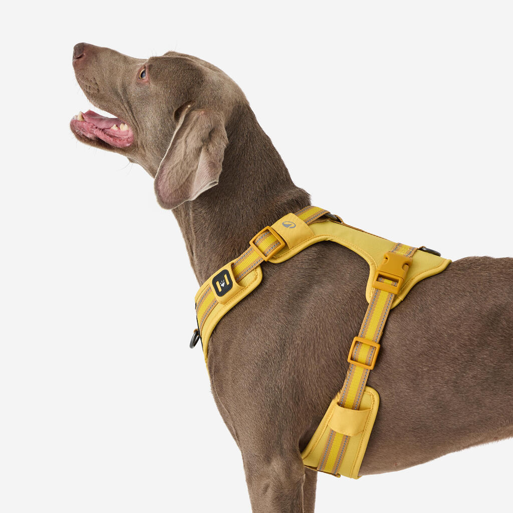 Hundegeschirr 500 Outdoor Terrakotta 