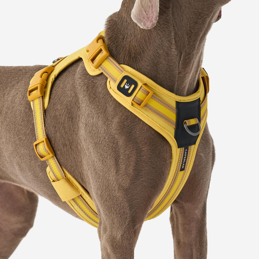 Hundegeschirr 500 Outdoor Terrakotta 