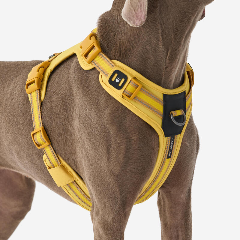 Hundegeschirr 500 Gelb