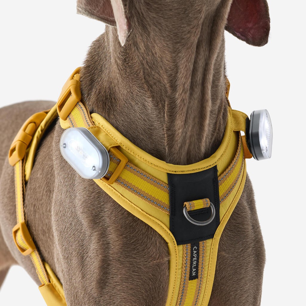 Hundegeschirr 500 Outdoor Terrakotta 