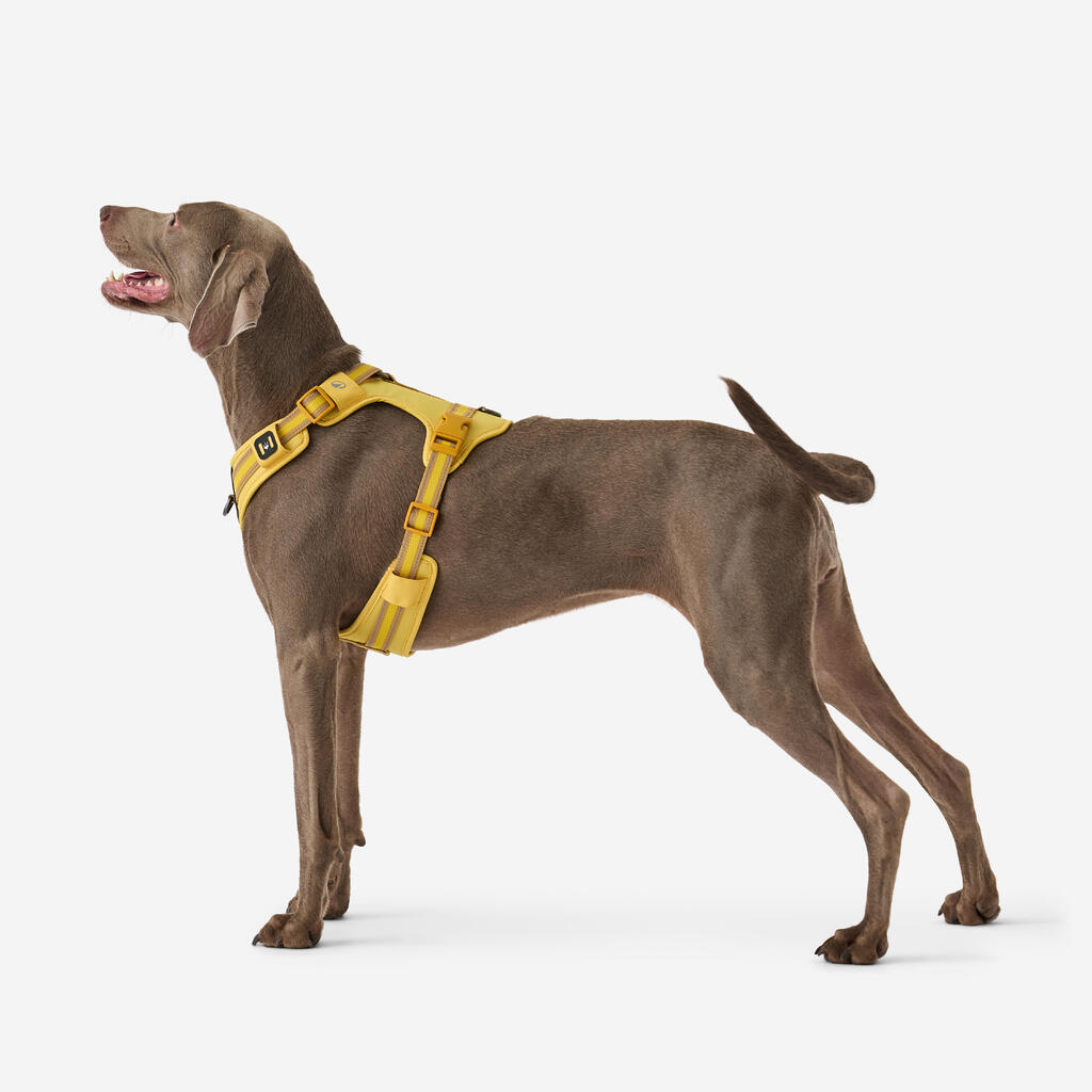 Hundegeschirr 500 Outdoor Terrakotta 