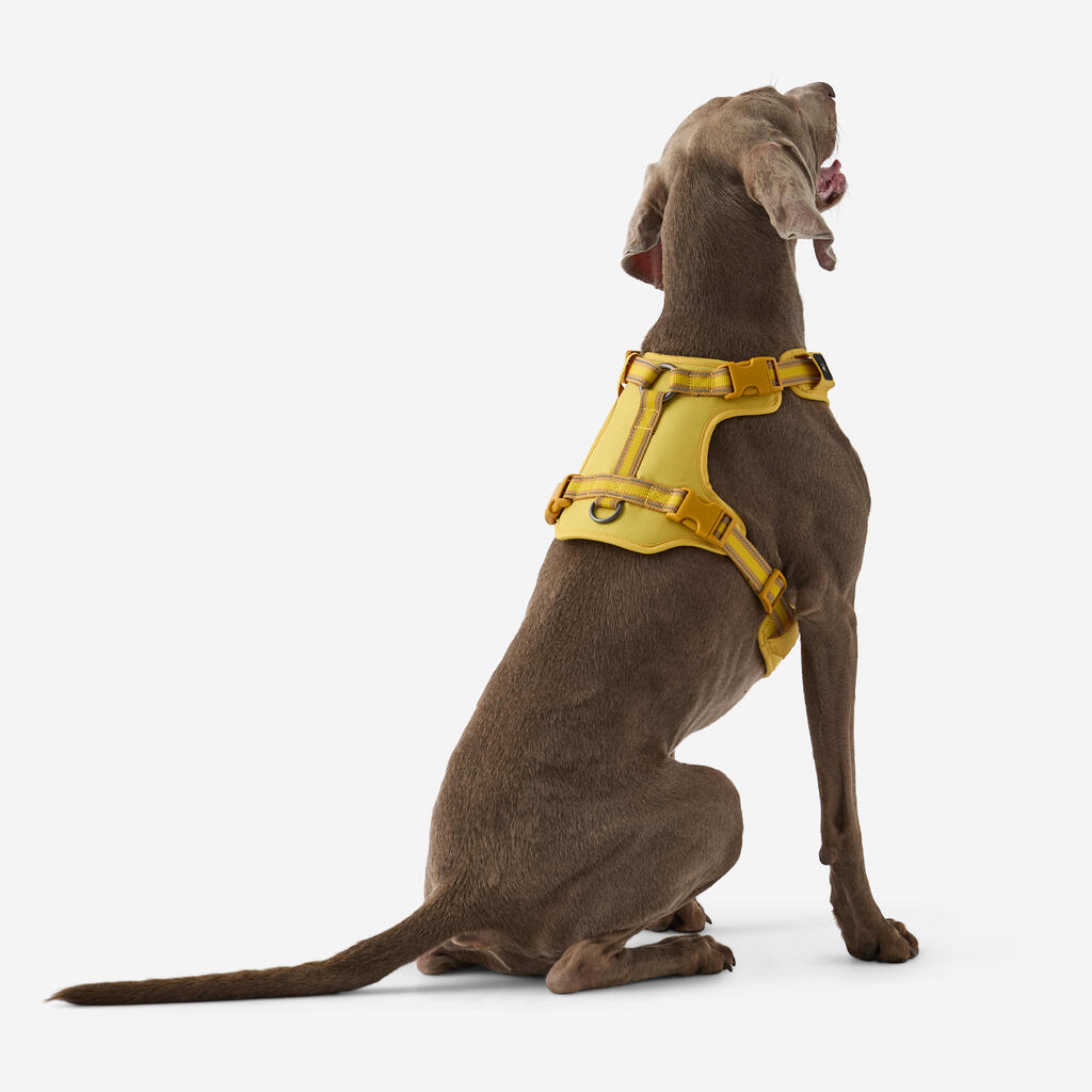 Hundegeschirr 500 Outdoor Terrakotta 