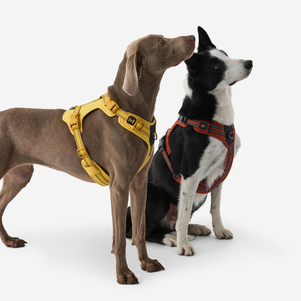 Hundegeschirr 500 Outdoor Terrakotta 