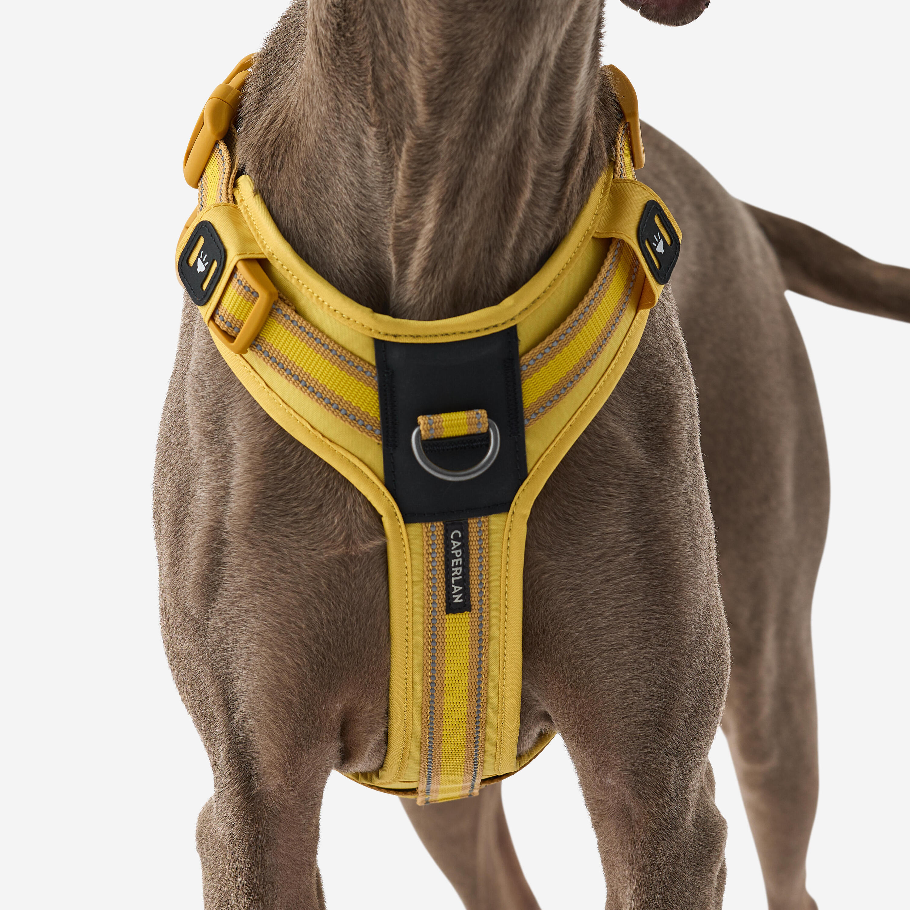 Arnês de Cão de Caça Outdoor 500 Amarelo 4/17