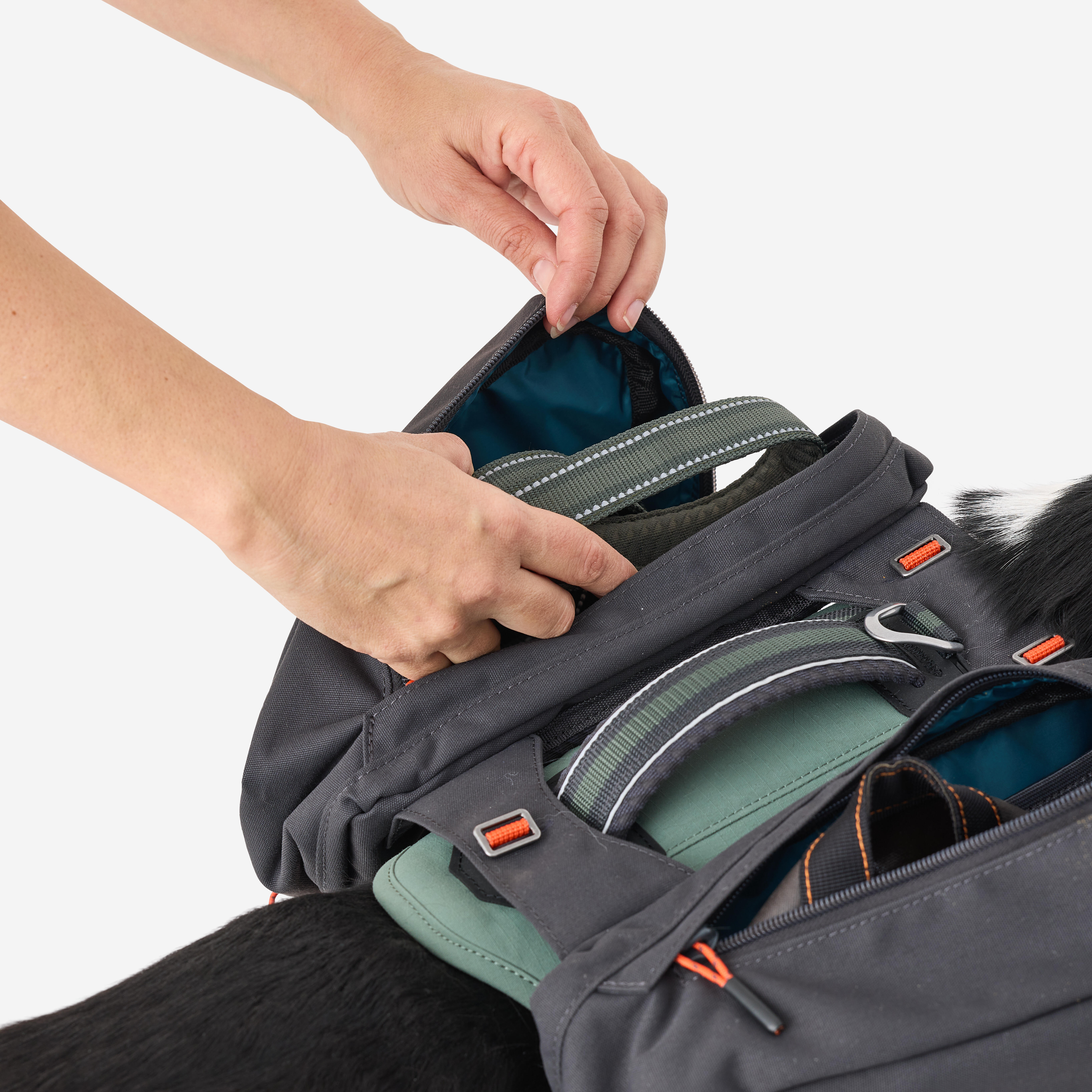 Harnais de randonnée pour chien - CAPERLAN