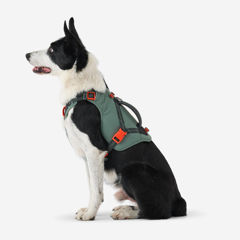 Harnais de randonnée pour chien