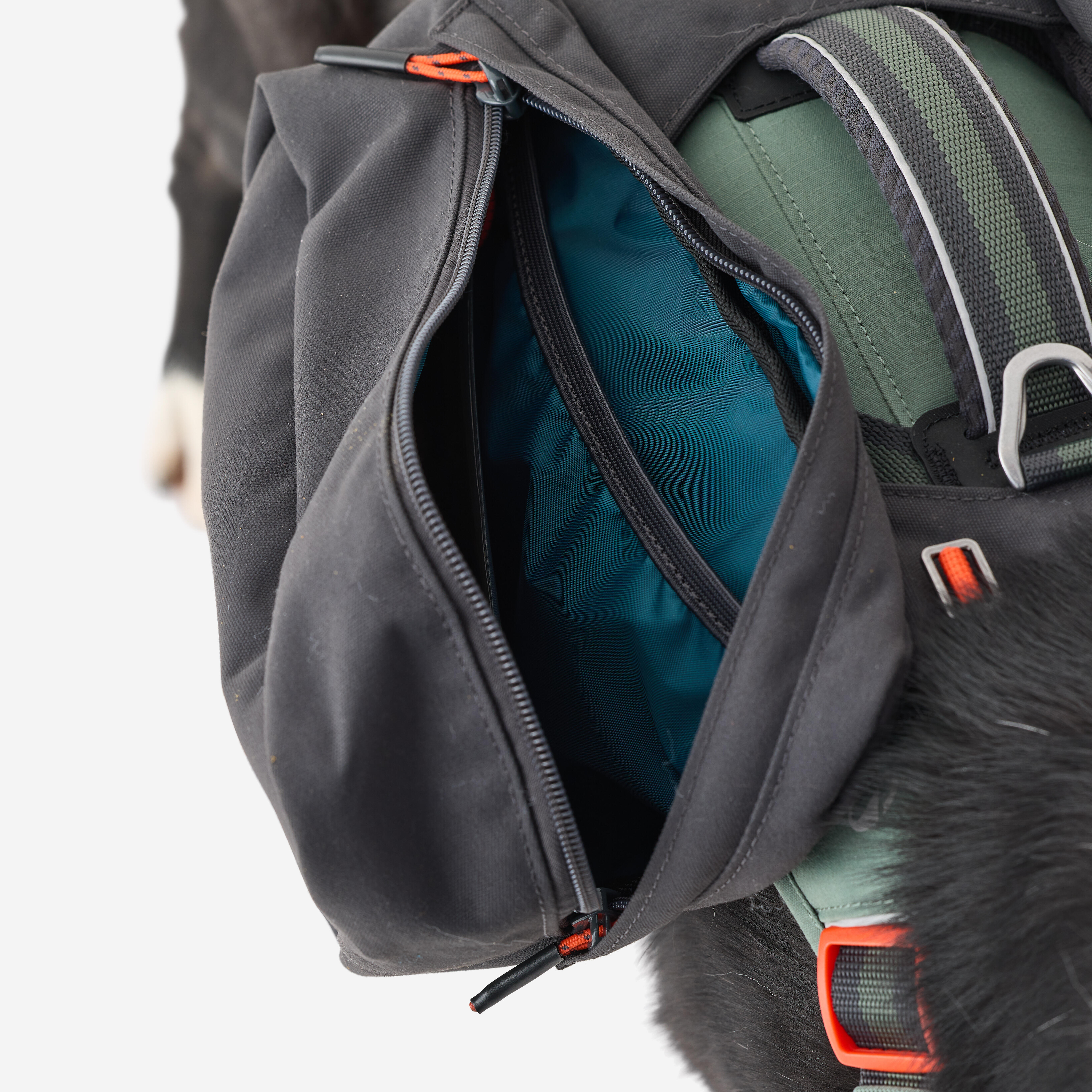 Harnais de randonnée pour chien - CAPERLAN