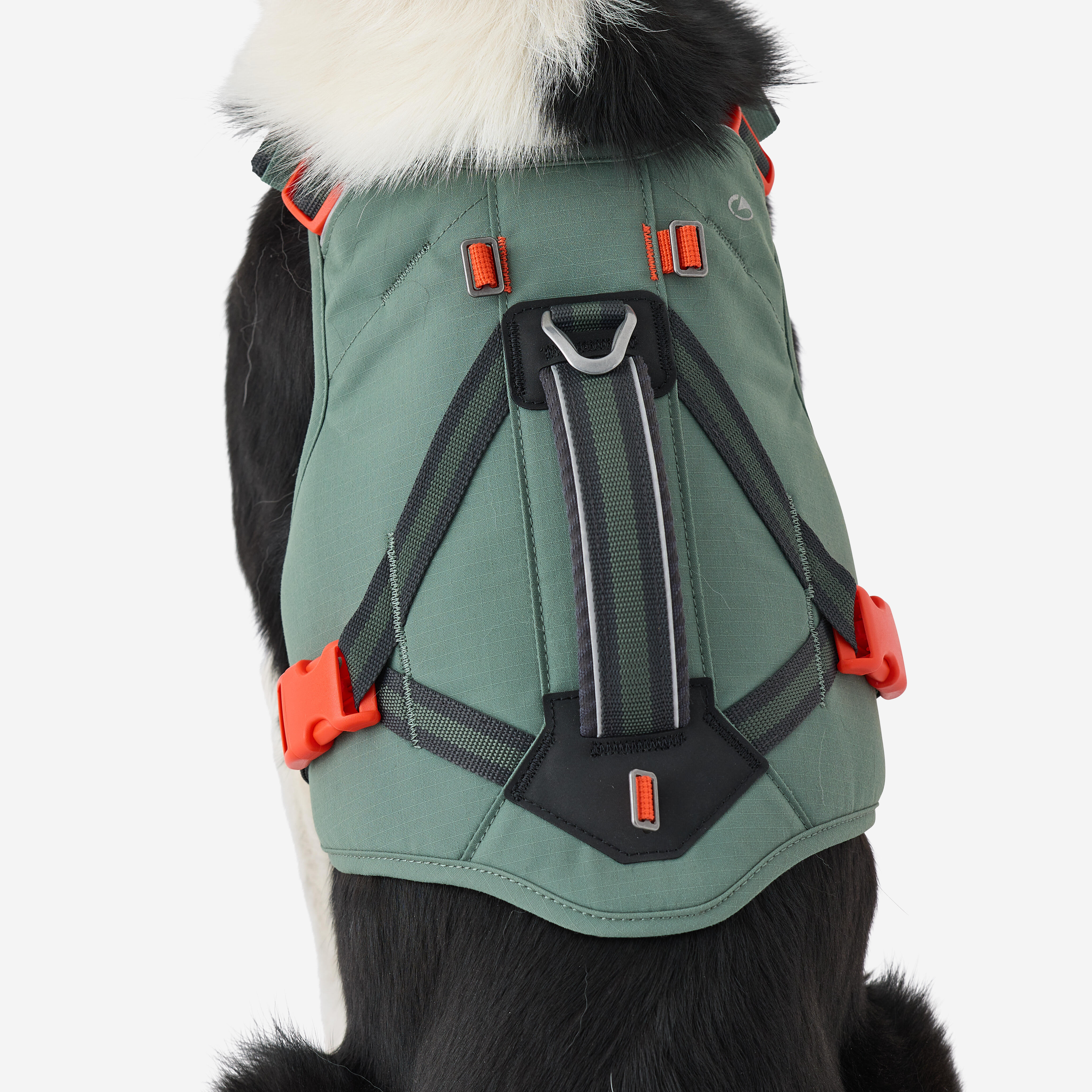 Harnais de randonnée pour chien - CAPERLAN