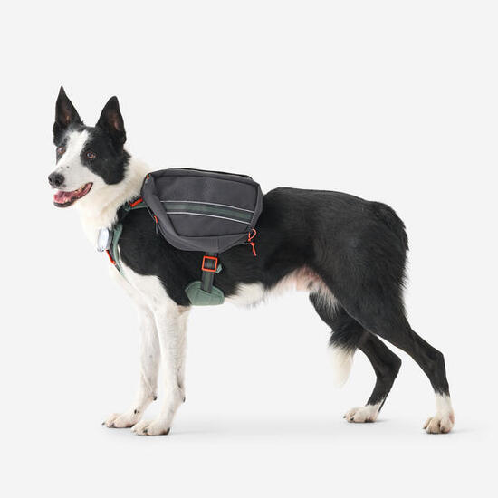 Imbracatura trekking cane