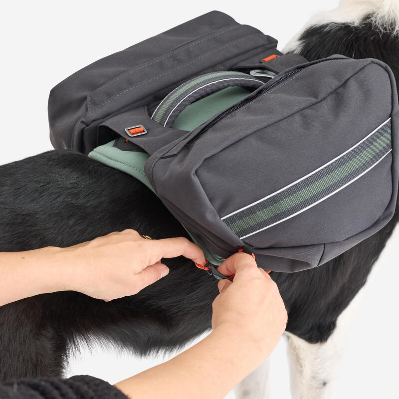 Harnais de randonnée pour chien