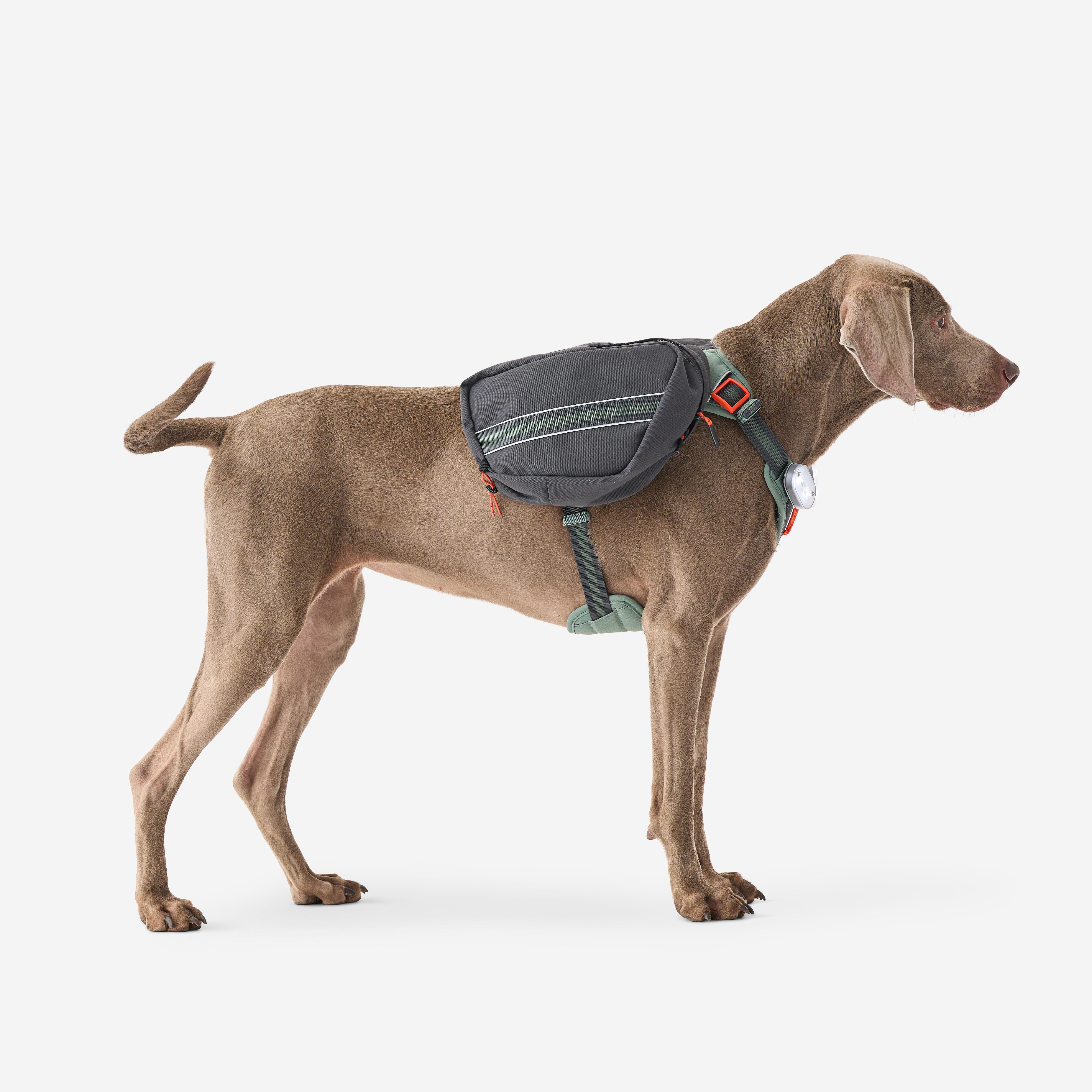 Harnais de randonnée pour chien - CAPERLAN