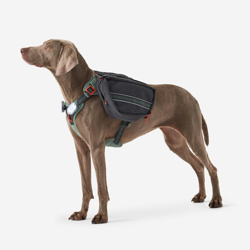 Harnais de randonnée pour chien