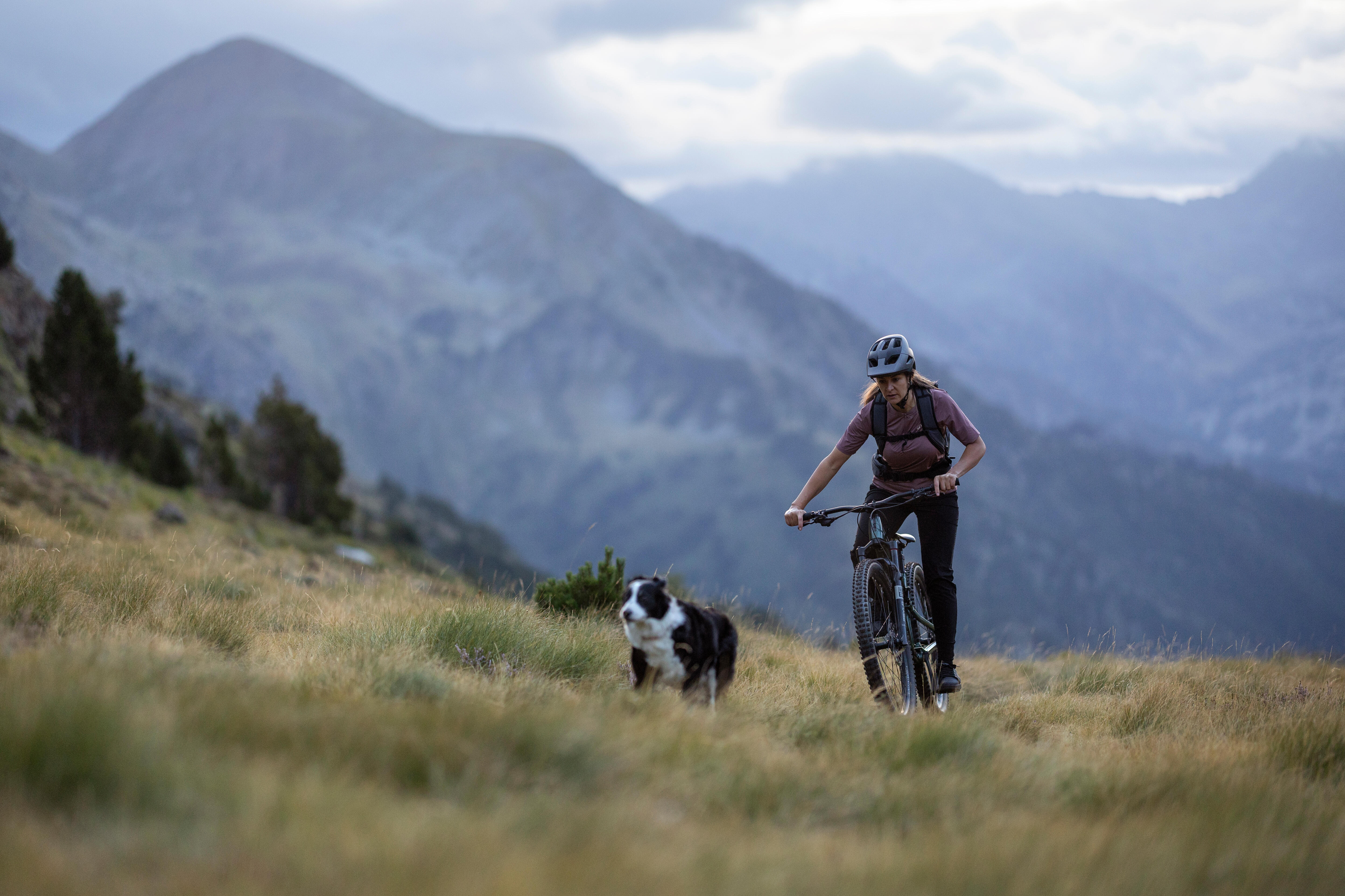 Maillot de vélo de montagne à manches courtes femme - ROCKRIDER