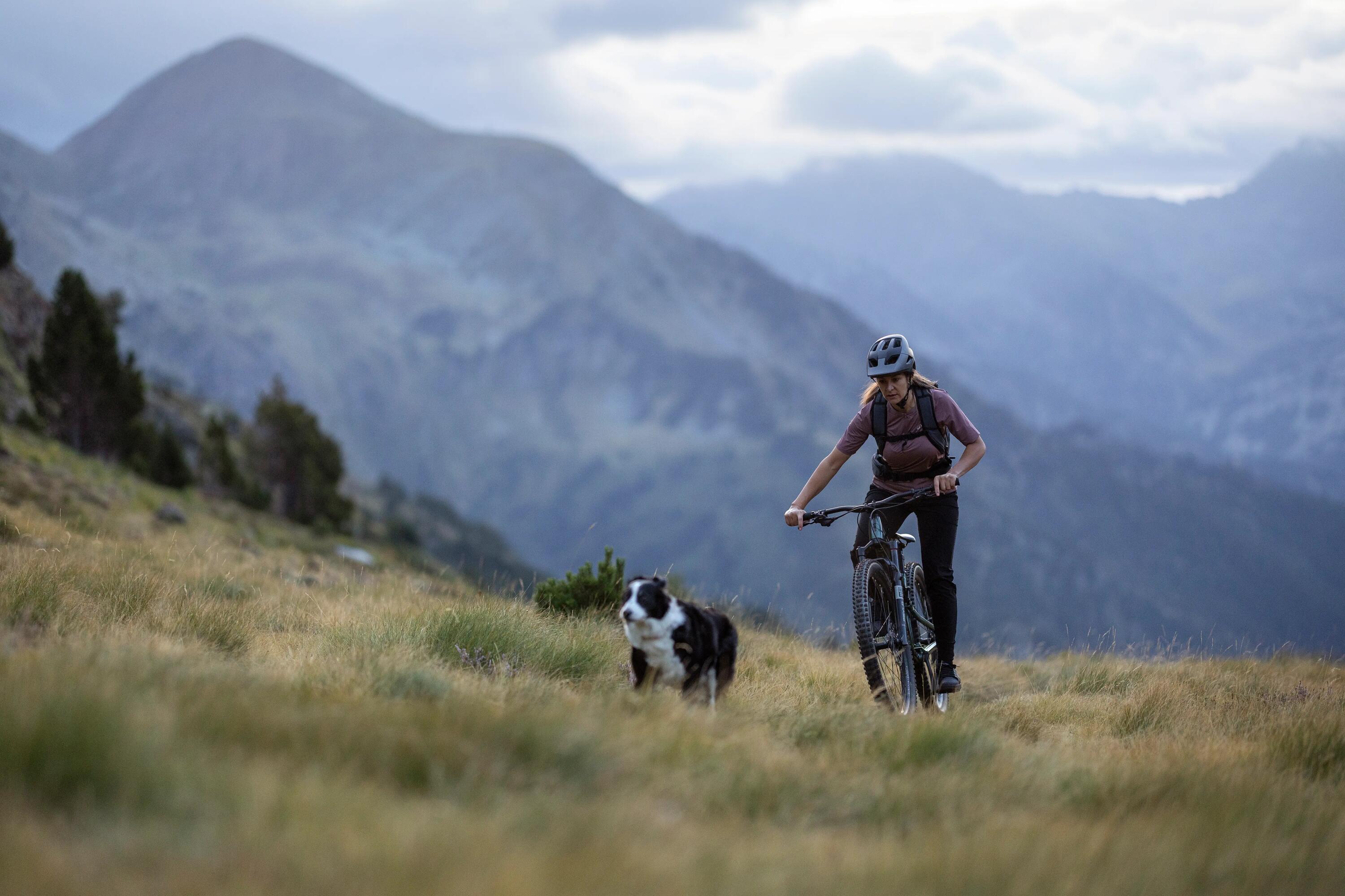 Rockrider – co to za firma? Poznaj znaną markę rowerową