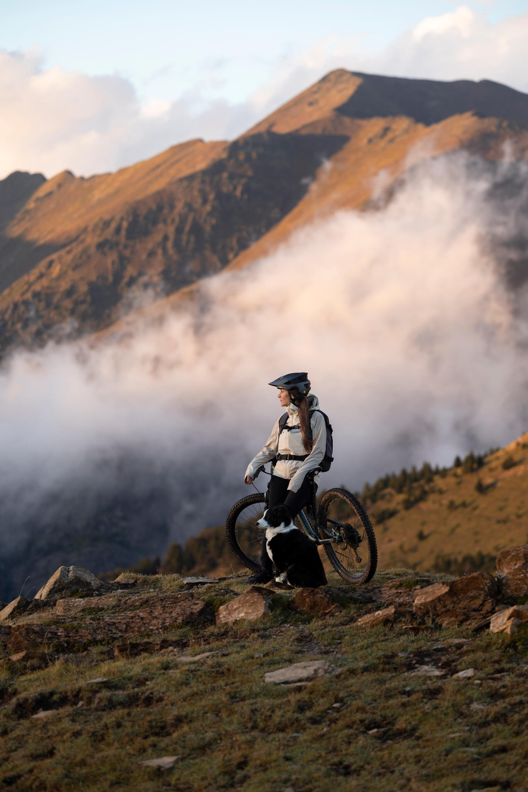 bici mountain bike