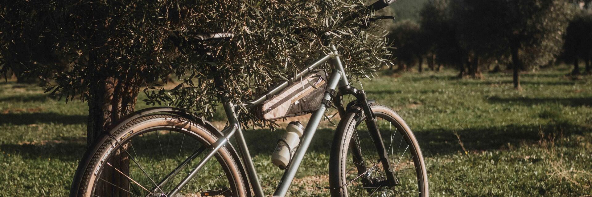 Hybrid Bike