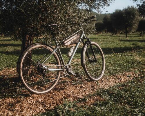 Hybrid Bike