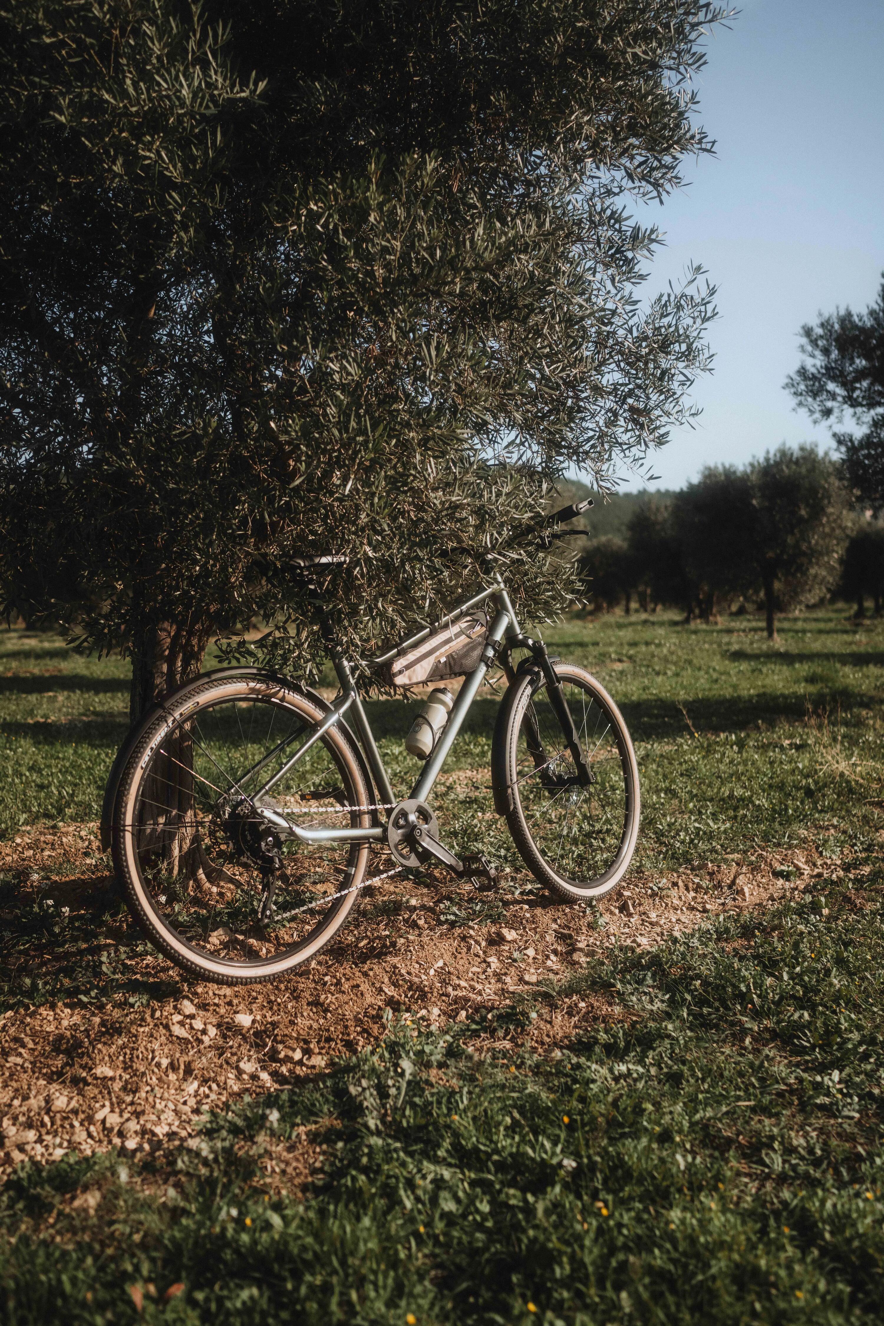Trekkingrad 28 Zoll ACTV 500 HF grün 4.5