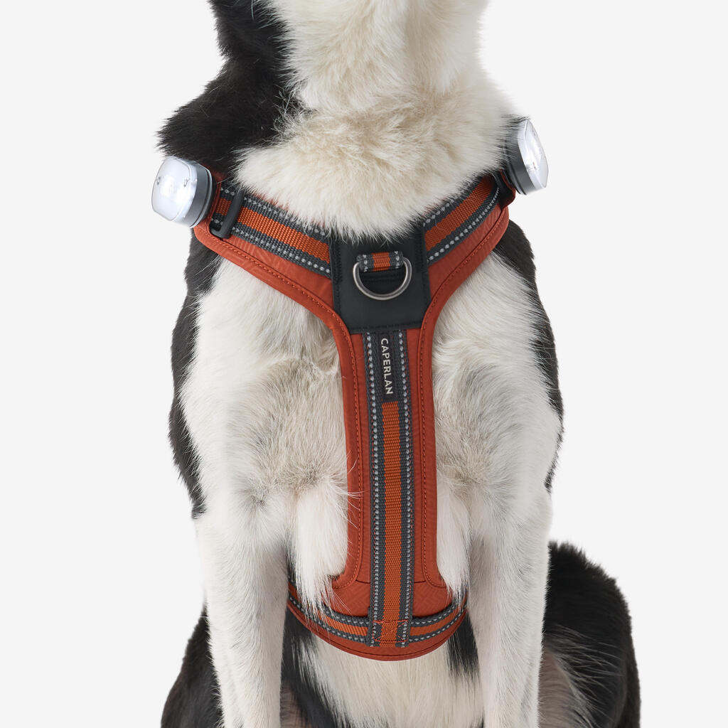 Hundegeschirr 500 Outdoor Terrakotta 