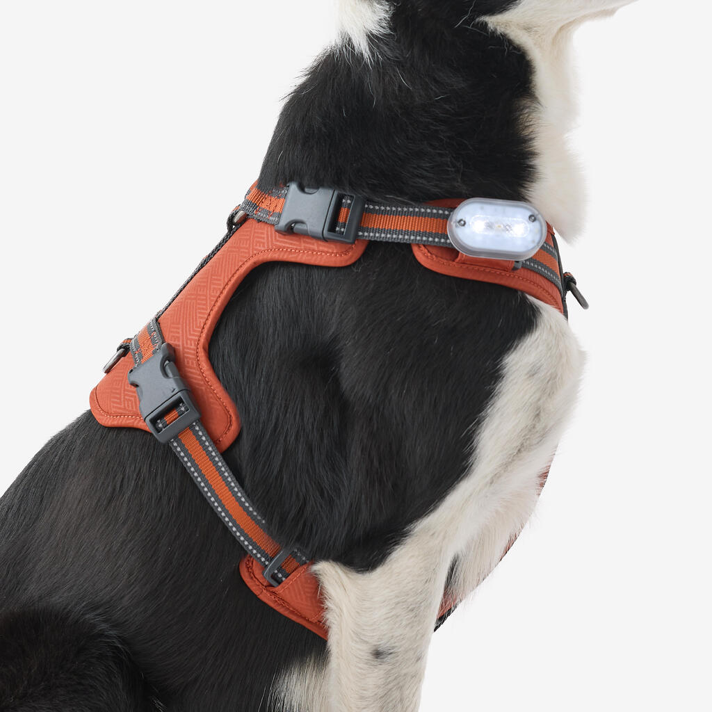 Hundegeschirr 500 Outdoor Terrakotta 