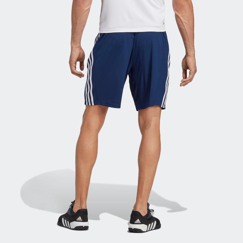 Șort de fitness Albastru Bărbați