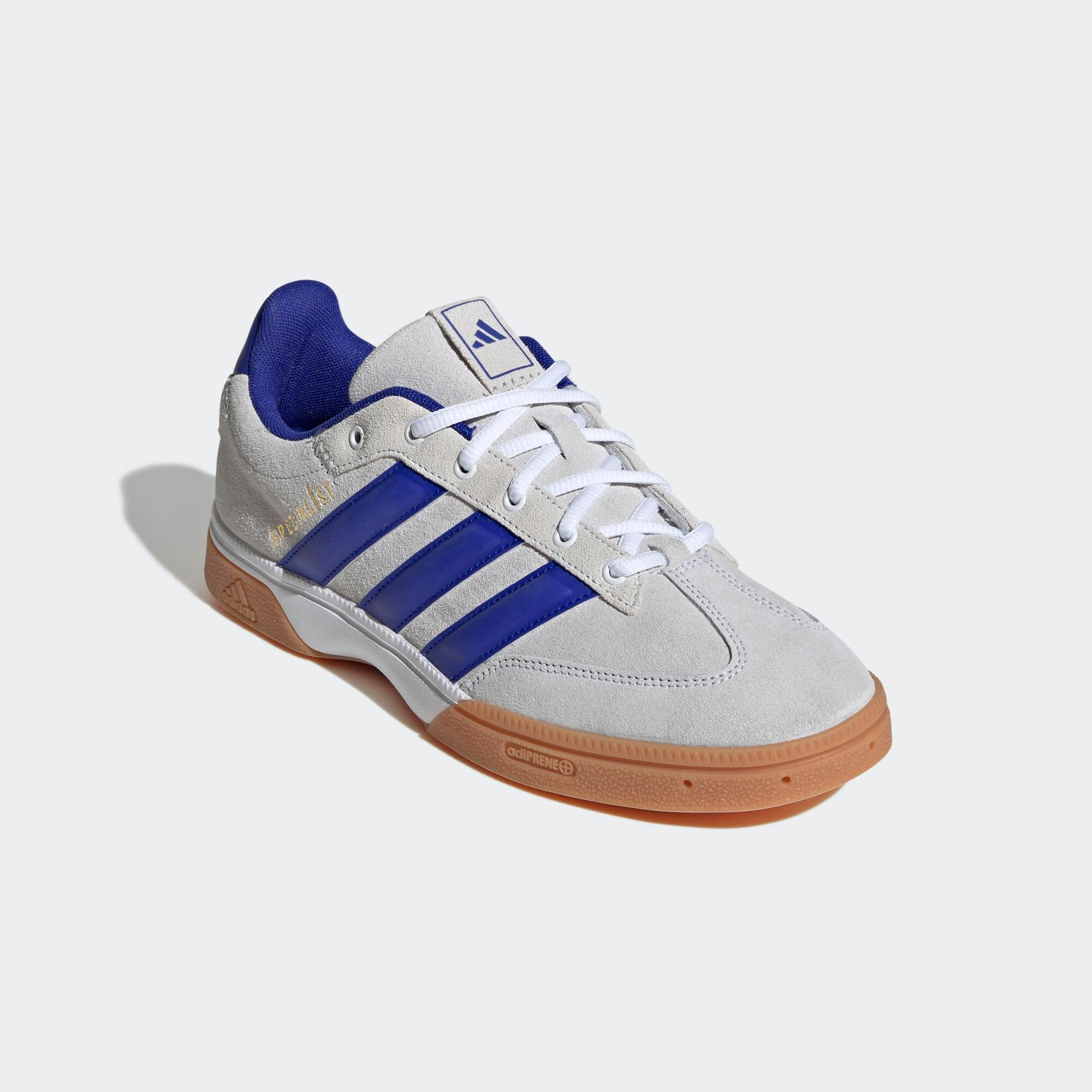 Handbalschoenen voor volwassenen Spezialist grijs blauw 5/9