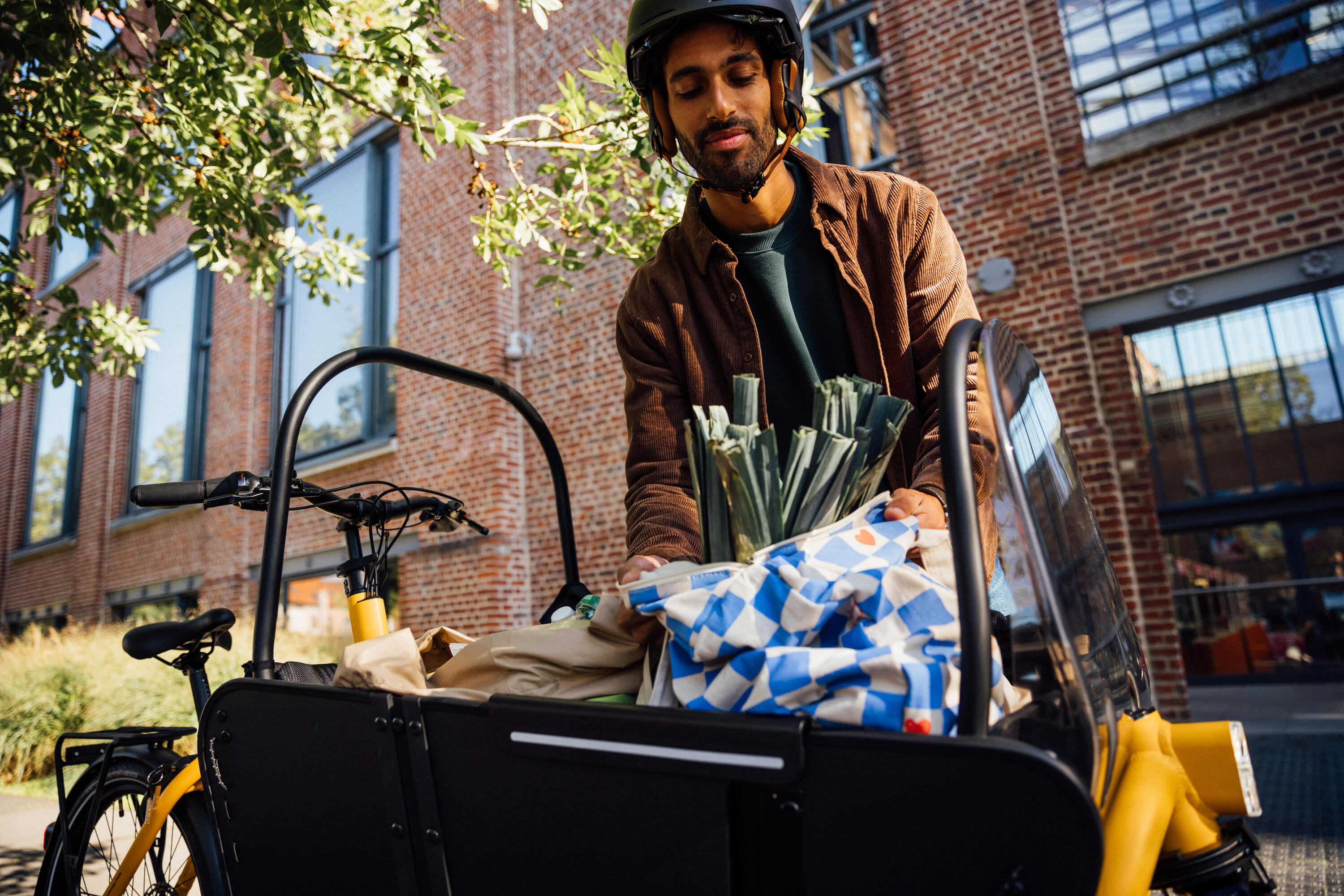 Velo cargo electrique biporteur famille f900e taupe 22/29