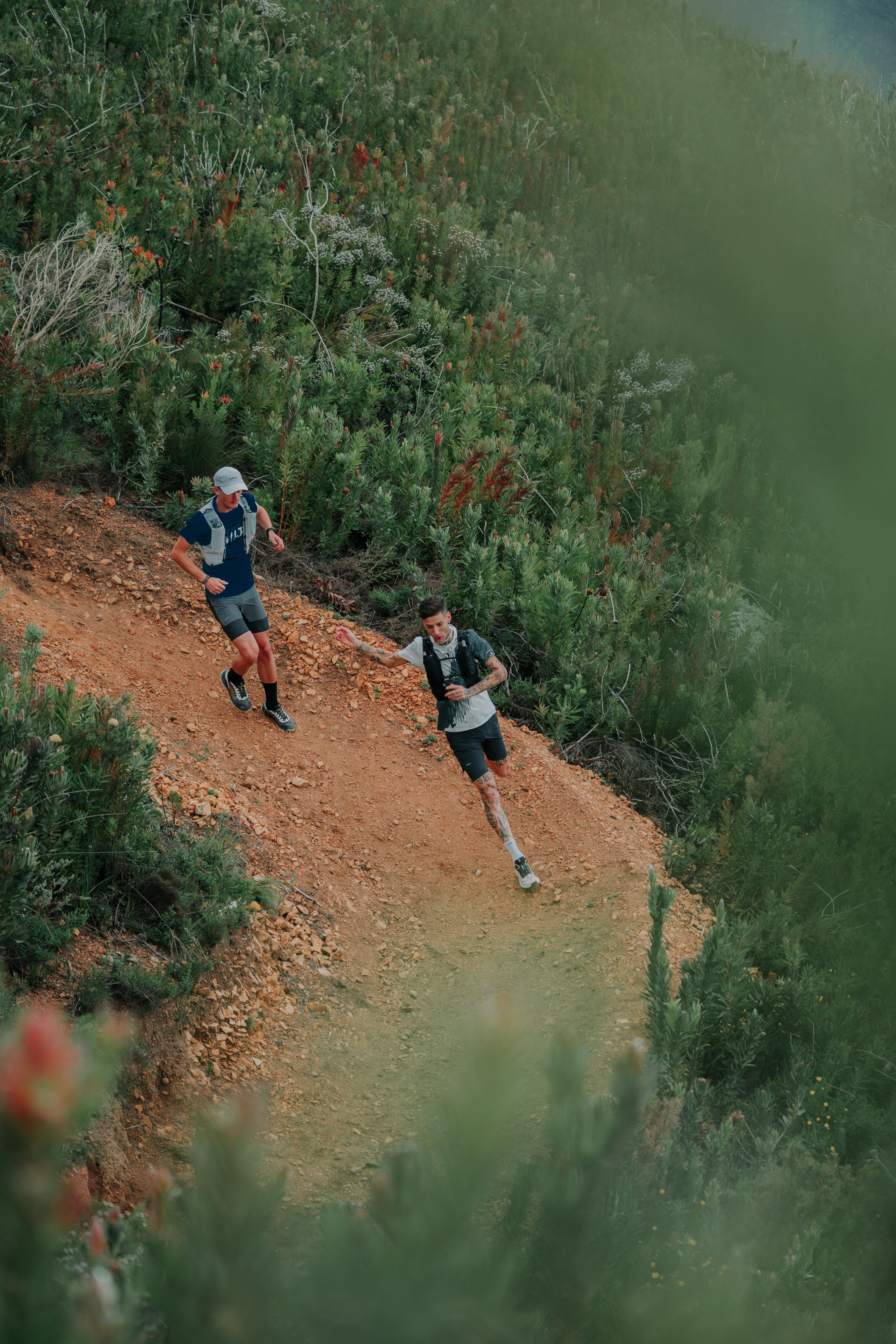 Men's Trail Running Shoes, Evadict MT Cushion 2 - KIPRUN