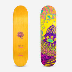 PLANCHE DE SKATE ERABLE DK500 POPSICLE TAILLE 8". GRAPHISME PAR TETSUNORI