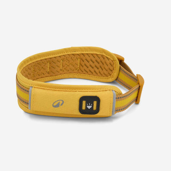 Collier pour chien 500 jaune
