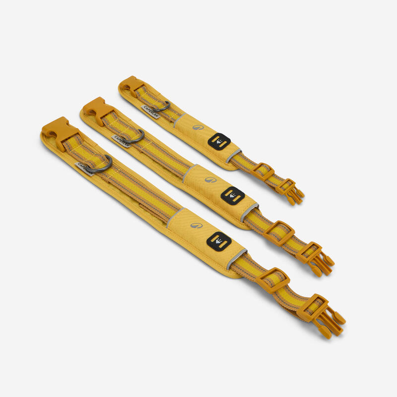 Collier pour chien 500 jaune