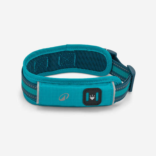 COLLIER CHIEN OUTDOOR BLEU 500