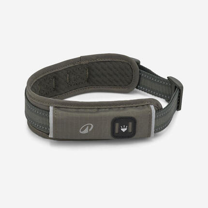 COLLIER CHIEN OUTDOOR BLEU 500