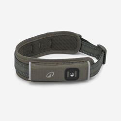 Collier pour chien 500 terracotta