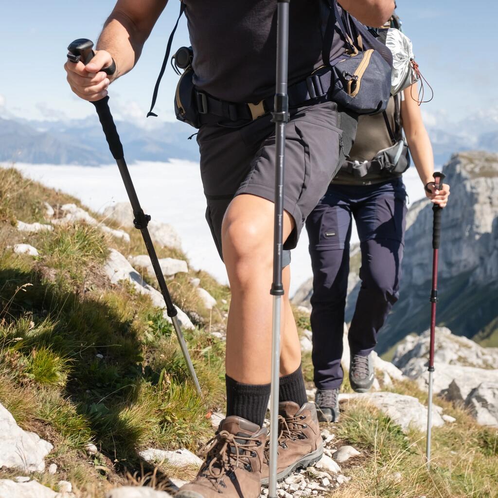 Trekking Poles