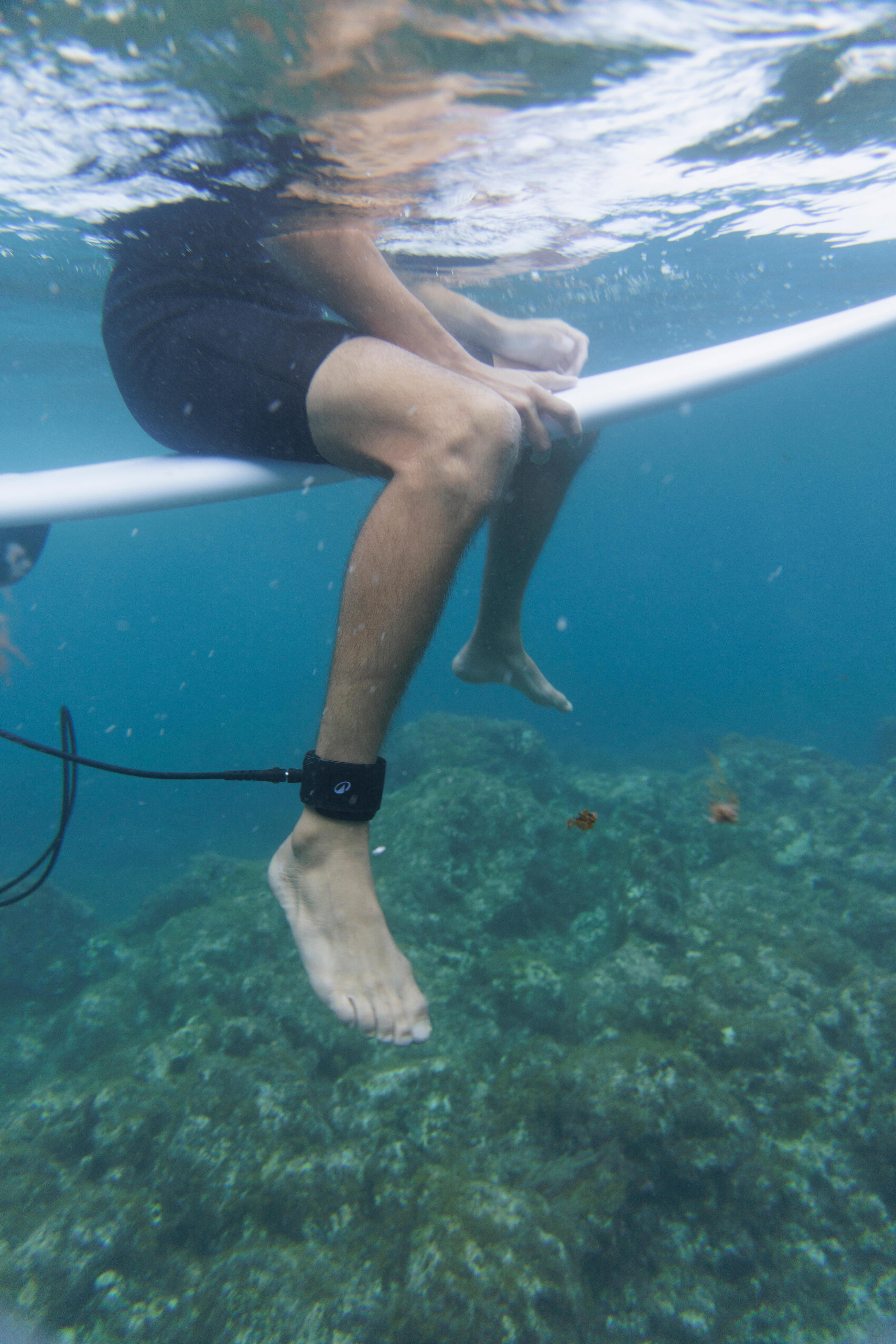 Leash surf 8' 500 - Diamètre 7mm Noir 6/7